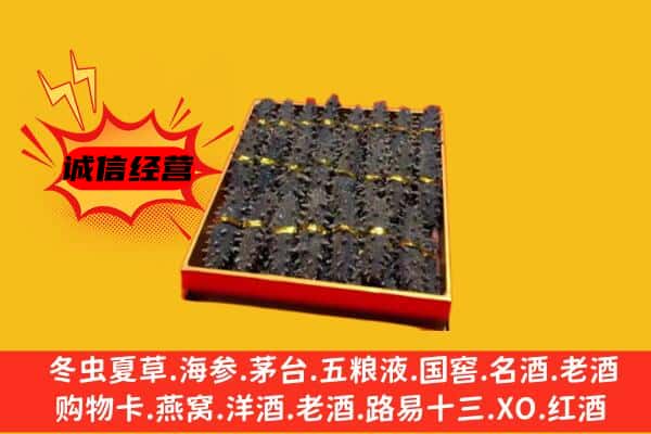 台湾苗栗县回收海参